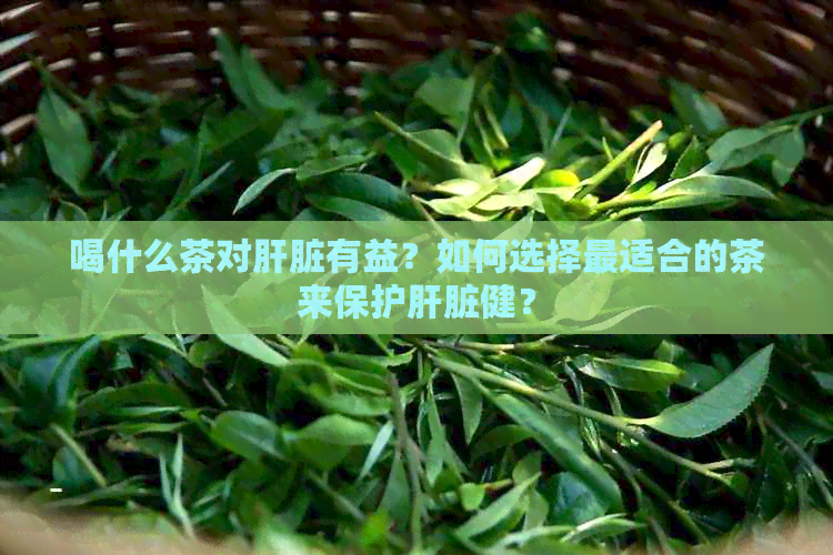 喝什么茶对肝脏有益？如何选择最适合的茶来保护肝脏健？