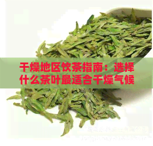 干燥地区饮茶指南：选择什么茶叶最适合干燥气候，以及如何冲泡和保存茶叶？