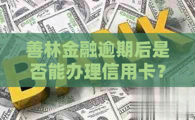 善林金融逾期后是否能办理信用卡？如何处理逾期还款导致的信用问题？