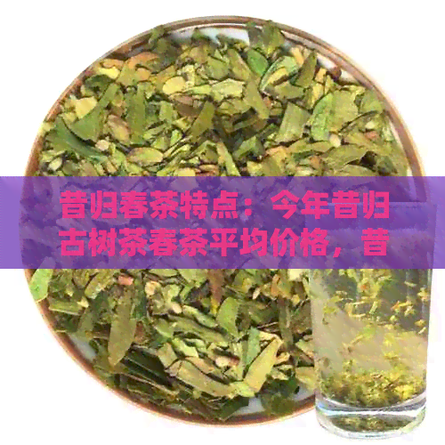 昔归春茶特点：今年昔归古树茶春茶平均价格，昔归春茶和秋茶的区别。