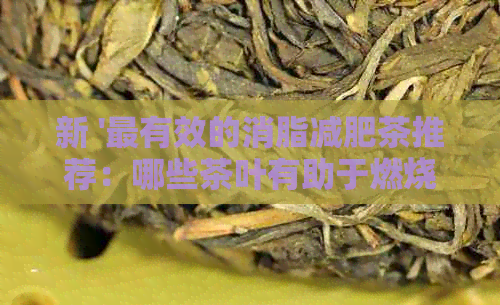 新 '最有效的消脂减肥茶推荐：哪些茶叶有助于燃烧脂肪和控制体重？'