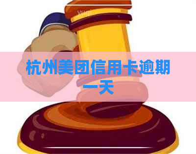 杭州美团信用卡逾期一天