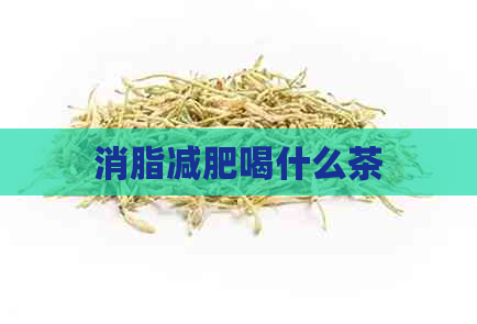 消脂减肥喝什么茶