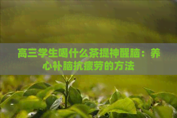 高三学生喝什么茶提神醒脑：养心补脑抗疲劳的方法