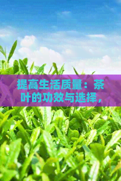 提高生活质量：茶叶的功效与选择，如何实现护肝降压