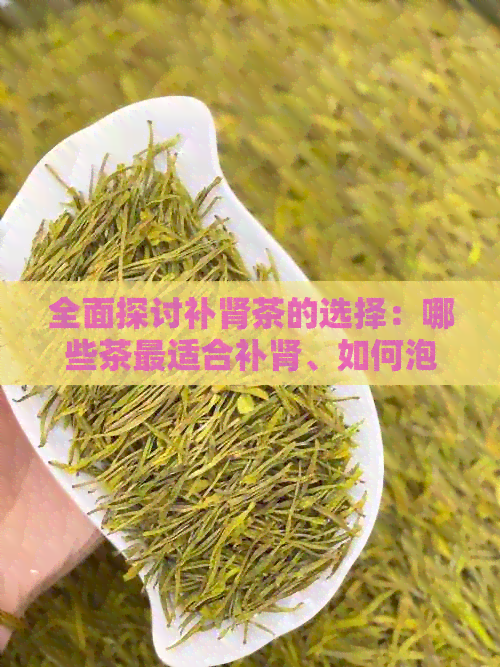 全面探讨补肾茶的选择：哪些茶最适合补肾、如何泡制以及可能的副作用