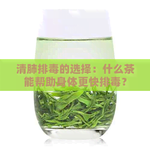 清肺排的选择：什么茶能帮助身体更快排？