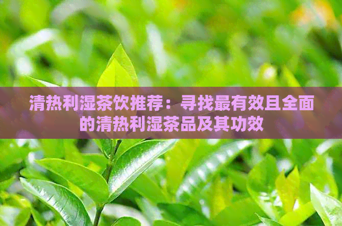 清热利湿茶饮推荐：寻找最有效且全面的清热利湿茶品及其功效