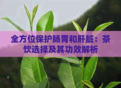 全方位保护肠胃和肝脏：茶饮选择及其功效解析