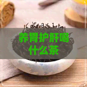 养胃护肝喝什么茶