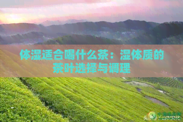 体湿适合喝什么茶：湿体质的茶叶选择与调理