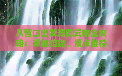 从营口出发游览云南全攻略：详细路线、景点推荐及旅行注意事项