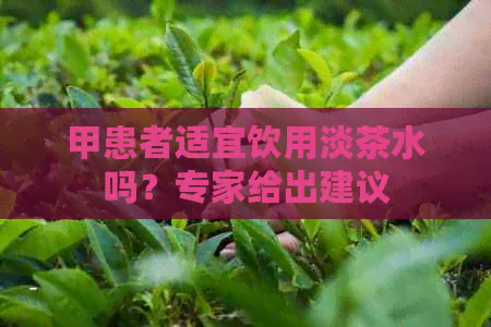 甲患者适宜饮用淡茶水吗？专家给出建议