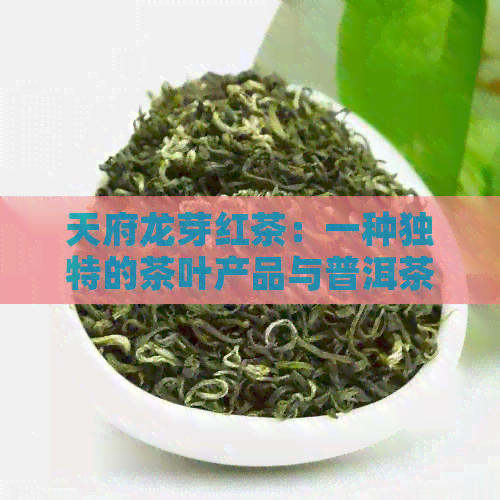 天府龙芽红茶：一种独特的茶叶产品与普洱茶的对比分析