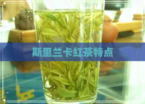 斯里兰卡红茶特点