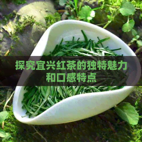 探究宜兴红茶的独特魅力和口感特点