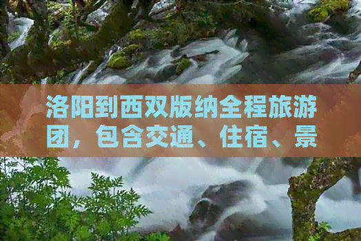 洛阳到西双版纳全程旅游团，包含交通、住宿、景点门票及专业导游服务