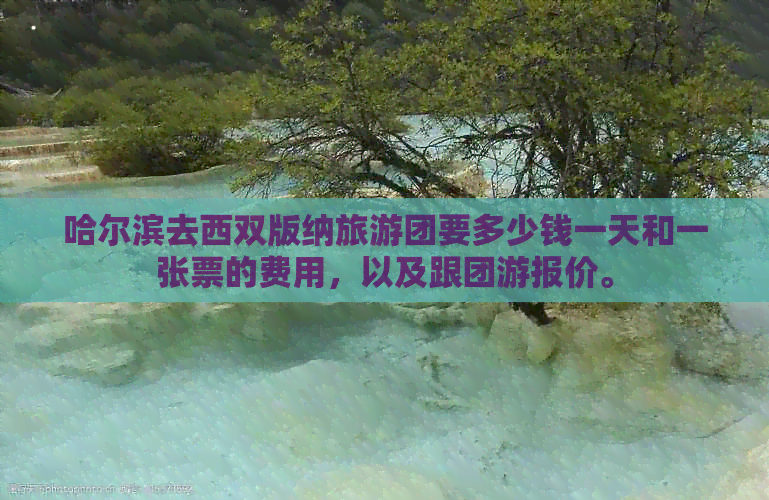 哈尔滨去西双版纳旅游团要多少钱一天和一张票的费用，以及跟团游报价。