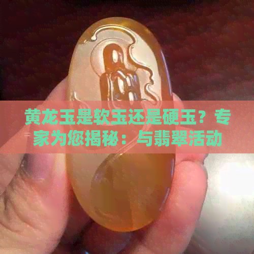 黄龙玉是软玉还是硬玉？专家为您揭秘：与翡翠活动有关