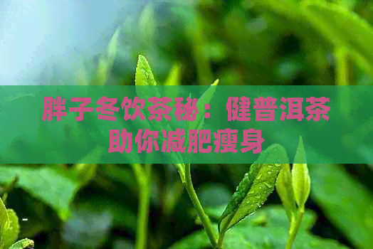 胖子冬饮茶秘：健普洱茶助你减肥瘦身