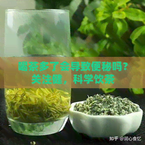 喝茶多了会导致便秘吗？关注健，科学饮茶