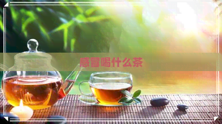 感冒喝什么茶