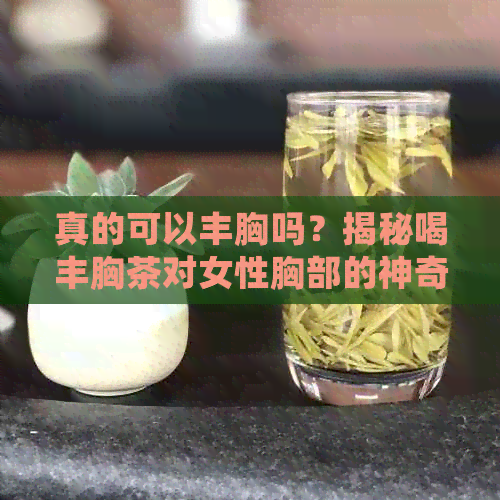 真的可以丰胸吗？揭秘喝丰胸茶对女性胸部的神奇效果