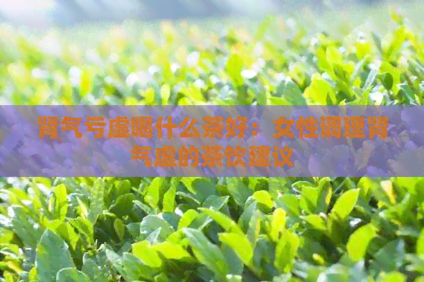 肾气亏虚喝什么茶好：女性调理肾气虚的茶饮建议