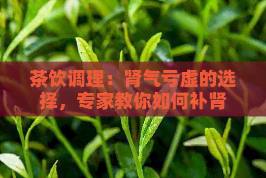 茶饮调理：肾气亏虚的选择，专家教你如何补肾