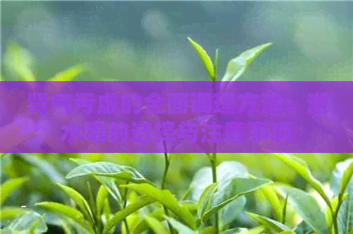 肾气亏虚的全面调理方法：泡水喝的选择与注意事项