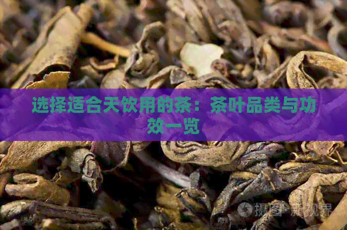 选择适合天饮用的茶：茶叶品类与功效一览