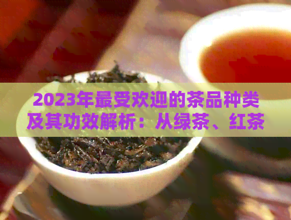 2023年更受欢迎的茶品种类及其功效解析：从绿茶、红茶到乌龙茶，一网打尽！