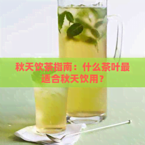 秋天饮茶指南：什么茶叶最适合秋天饮用？