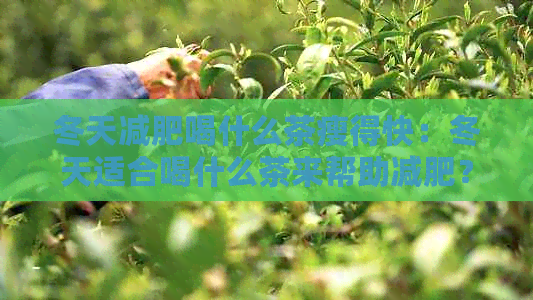 冬天减肥喝什么茶瘦得快：冬天适合喝什么茶来帮助减肥？