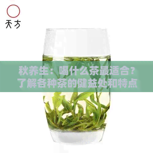 秋养生：喝什么茶最适合？了解各种茶的健益处和特点