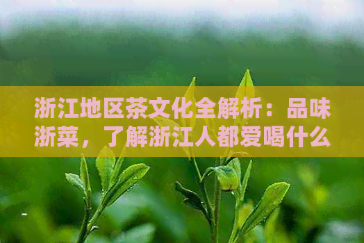 浙江地区茶文化全解析：品味浙菜，了解浙江人都爱喝什么茶