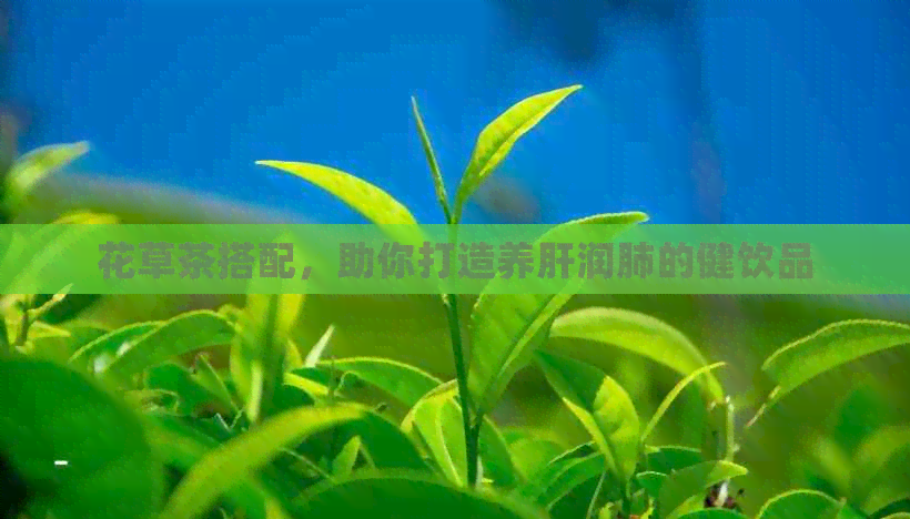 花草茶搭配，助你打造养肝润肺的健饮品