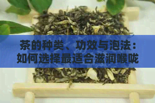 茶的种类、功效与泡法：如何选择最适合滋润喉咙的茶？