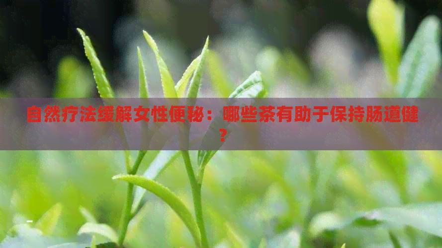 自然疗法缓解女性便秘：哪些茶有助于保持肠道健？