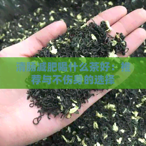 清肠减肥喝什么茶好：推荐与不伤身的选择