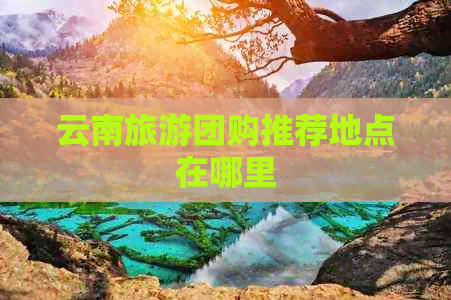 云南旅游团购推荐地点在哪里