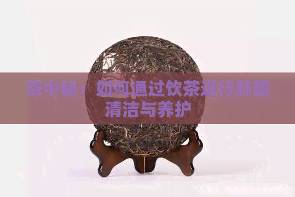 茶中秘：如何通过饮茶进行肺部清洁与养护