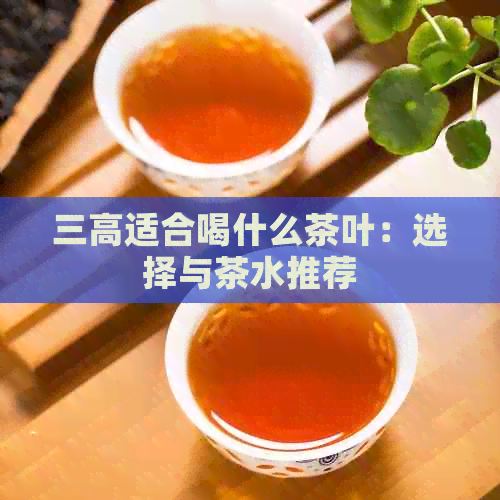 三高适合喝什么茶叶：选择与茶水推荐