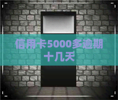 信用卡5000多逾期十几天