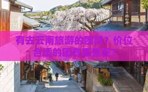 有去云南旅游的团吗？价位合适的团有哪些呢？