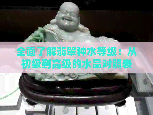 全面了解翡翠种水等级：从初级到高级的水品对照表