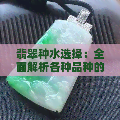 翡翠种水选择：全面解析各种品种的水润程度，助您轻松找到最适合的翡翠