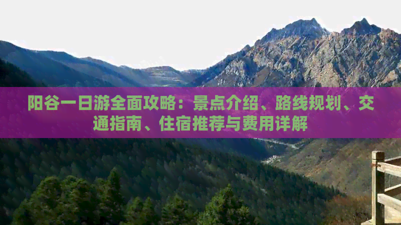 阳谷一日游全面攻略：景点介绍、路线规划、交通指南、住宿推荐与费用详解