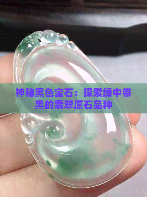 神秘黑色宝石：探索绿中带黑的翡翠原石品种