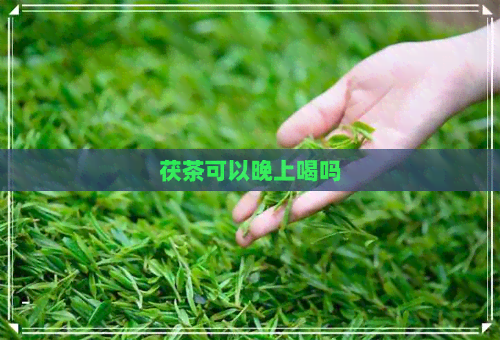 茯茶可以晚上喝吗